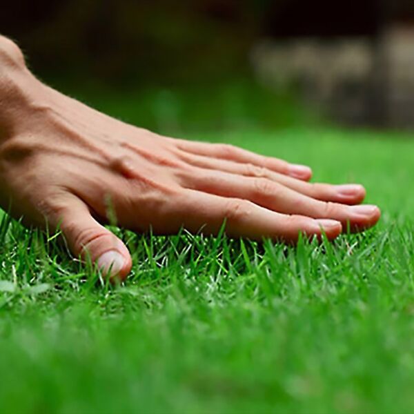 Residential-Lawn-Care-Tab